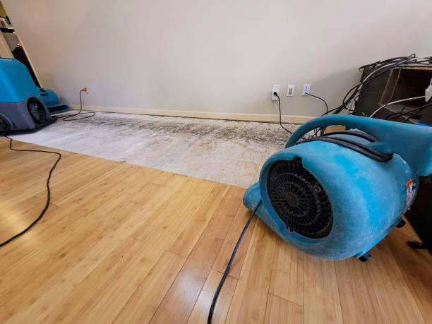 Professional Structural Drying technician working in Harlan, KY